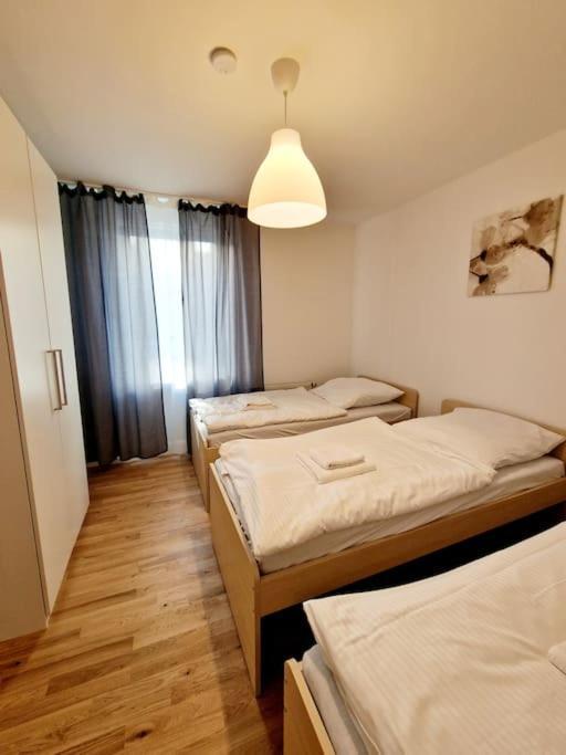 Appartamento Cozy In The Center Of 23